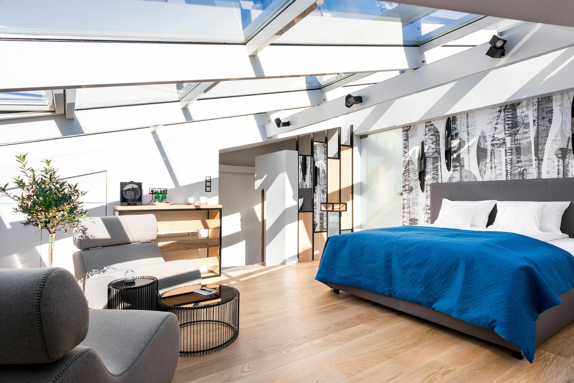 Privilege Apartament